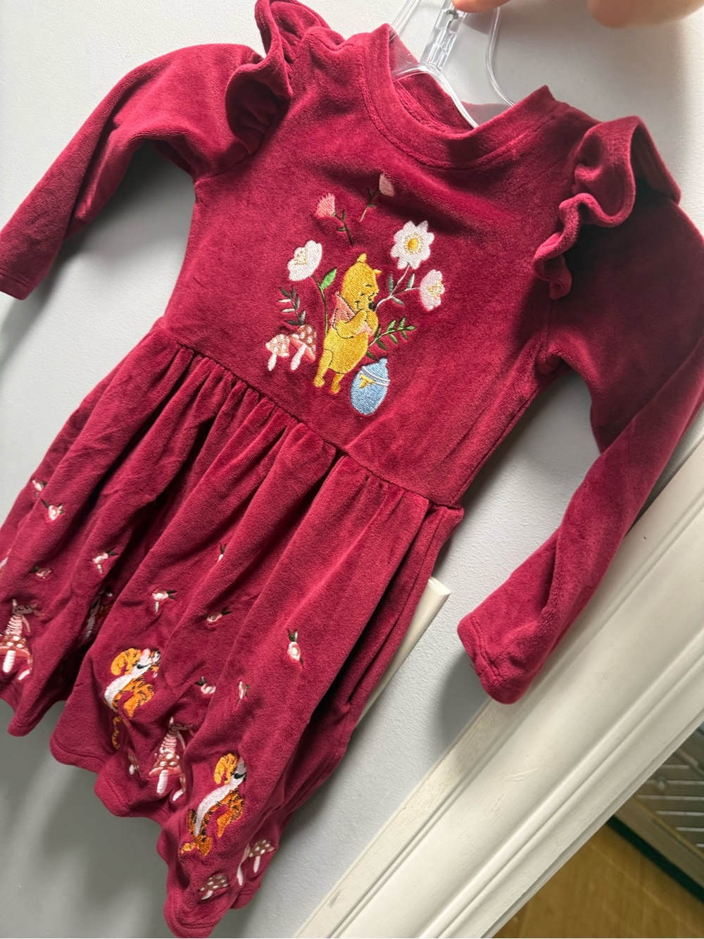 Disney Burgundy Floral Winnie the Pooh Velvet Dress